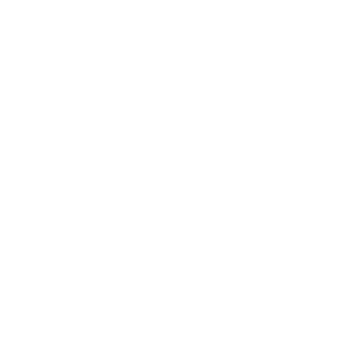Web